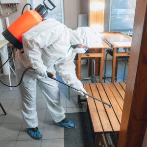 Termite Control