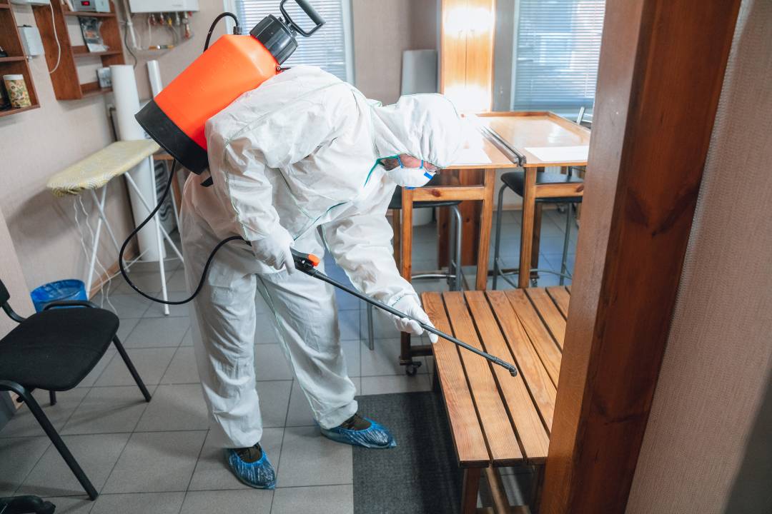 Termite Control